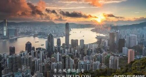 摇钱树棋牌上炸金花能赢吗-摇钱树棋牌上炸金花，策略与运气并重的博弈